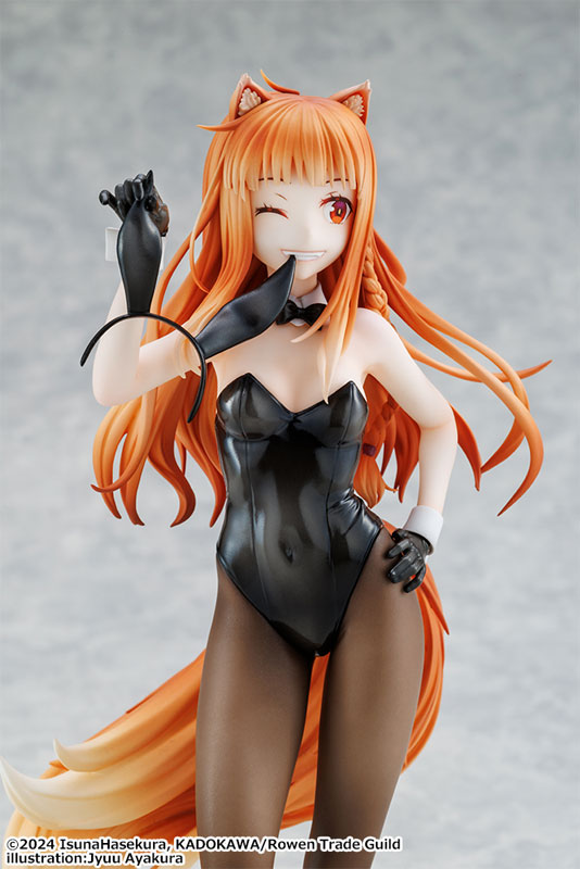 KDcolle Spice and Wolf: MERCHANT MEETS THE WISE WOLF Holo Light Novel bunny ver. illustration by Jyuu Ayakura 1/7