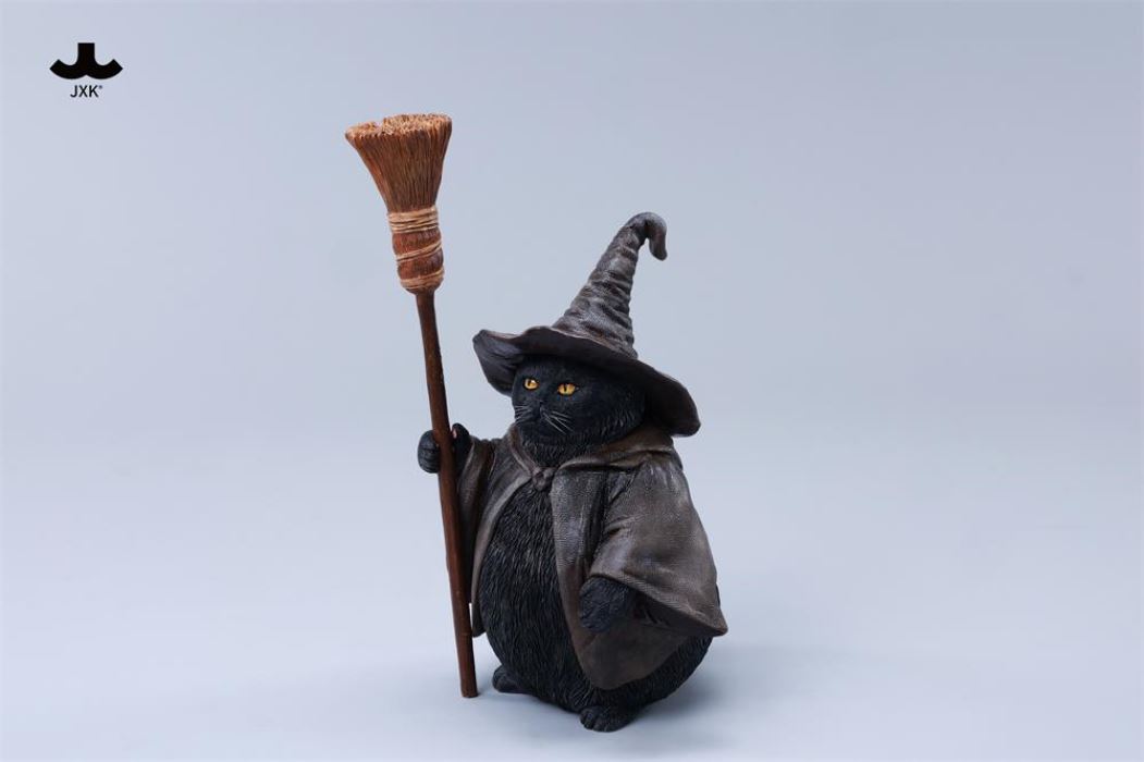 Wizard Cat