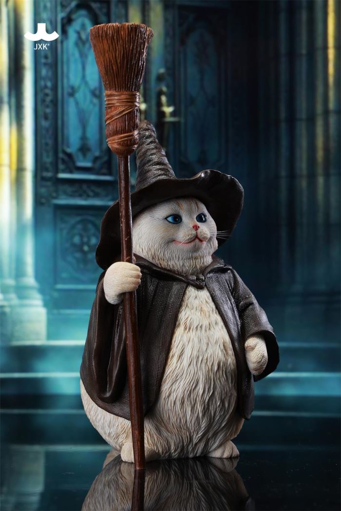 Wizard Cat