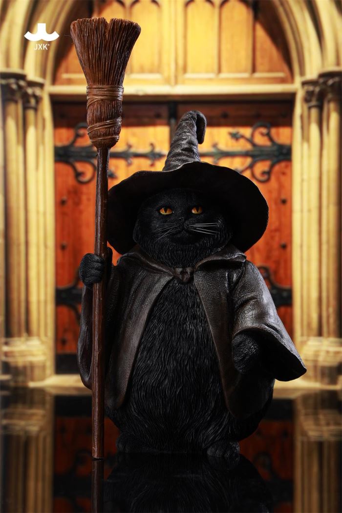 Wizard Cat
