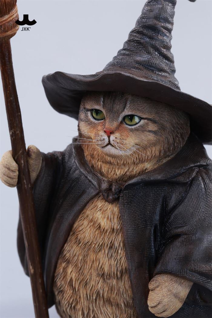 Wizard Cat