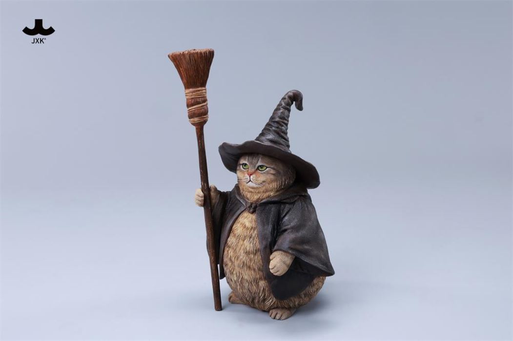 Wizard Cat