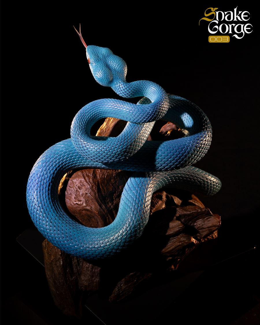 Animal museum Indonesian pit viper