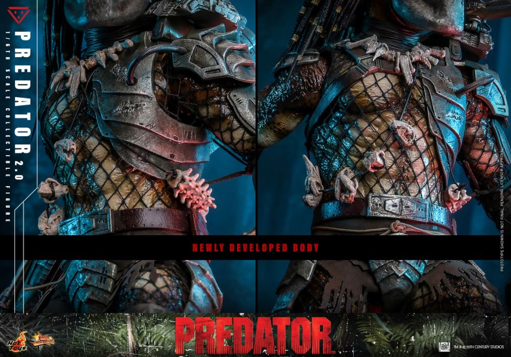 Predator 1/6