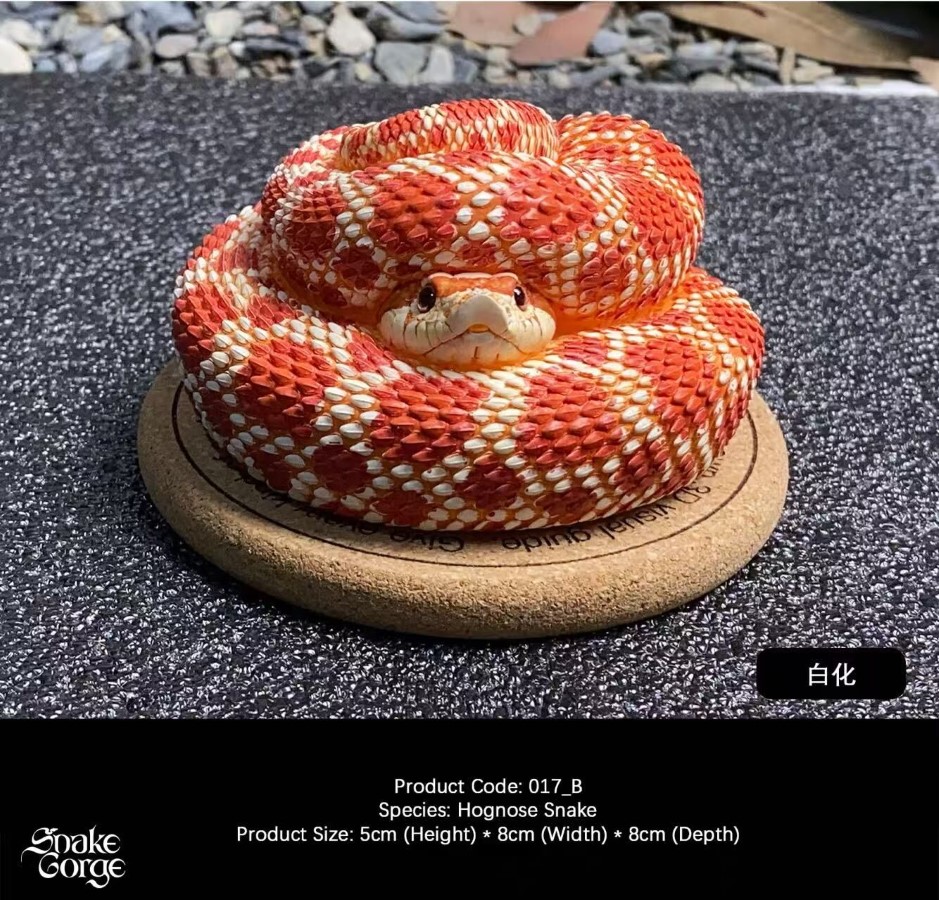 Hognose Snake 