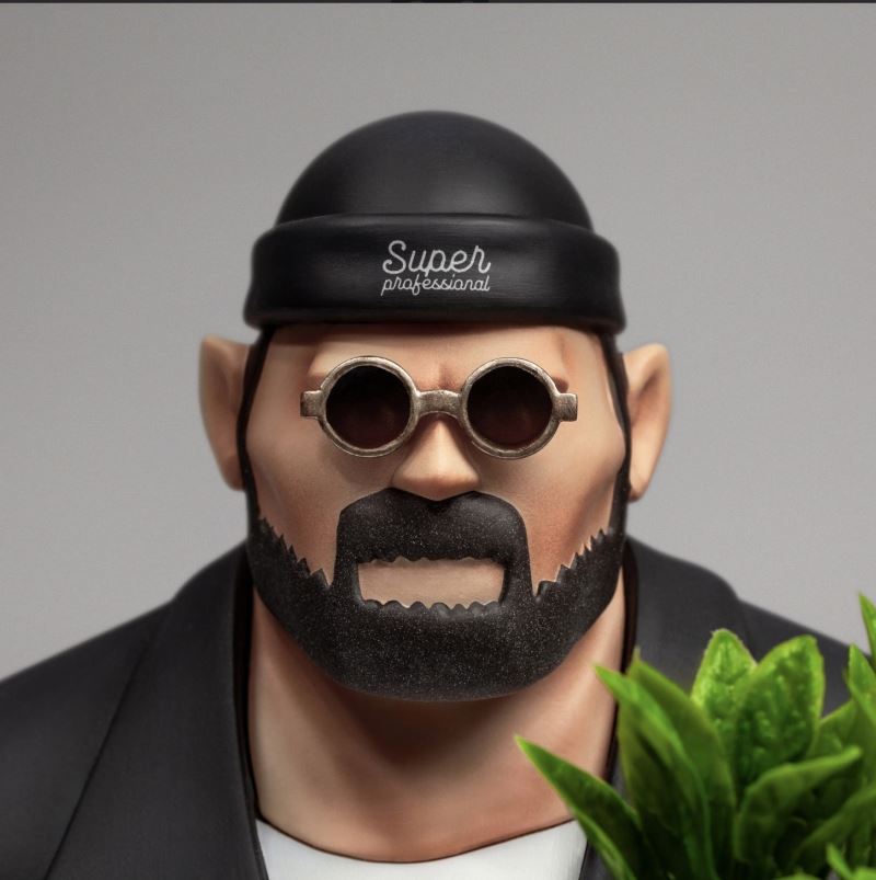 LOWFOOL // the PROFESSIONAL LOWFOOL