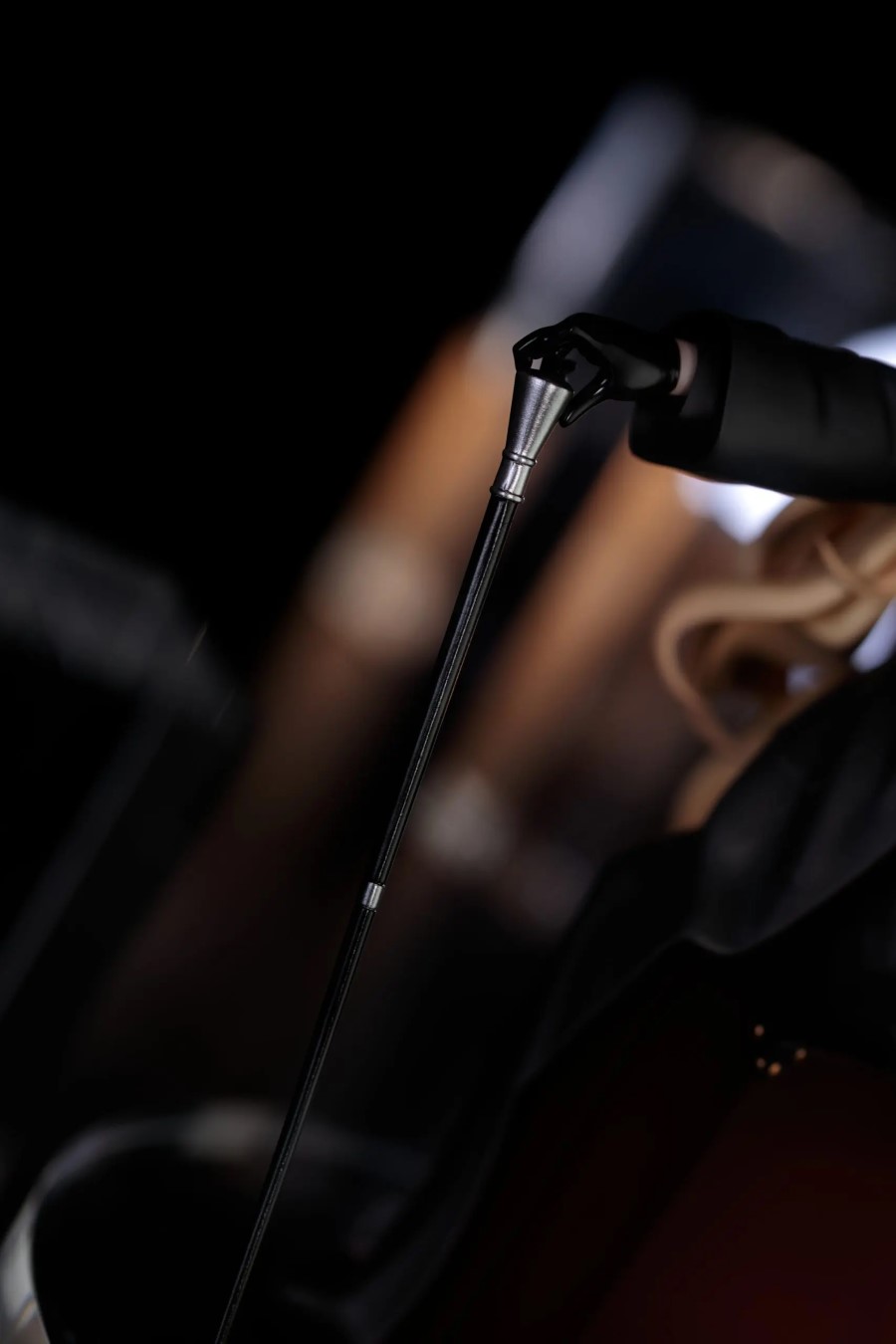 Professor Niyaniya - Blue Archive