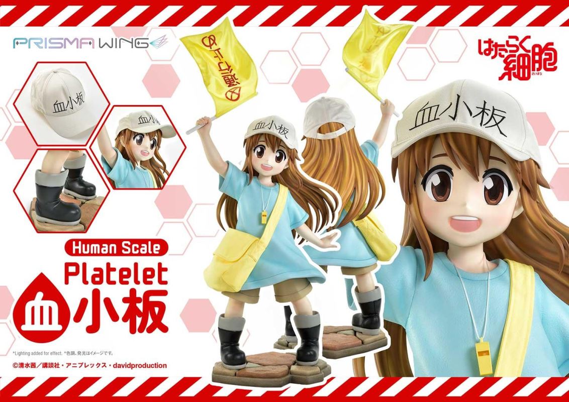 Cells at Work! Platelets 1/1