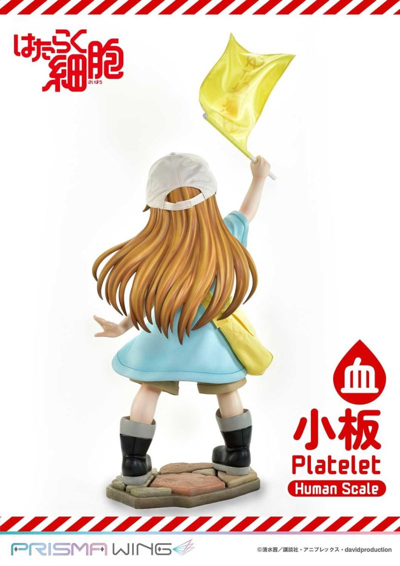 Cells at Work! Platelets 1/1
