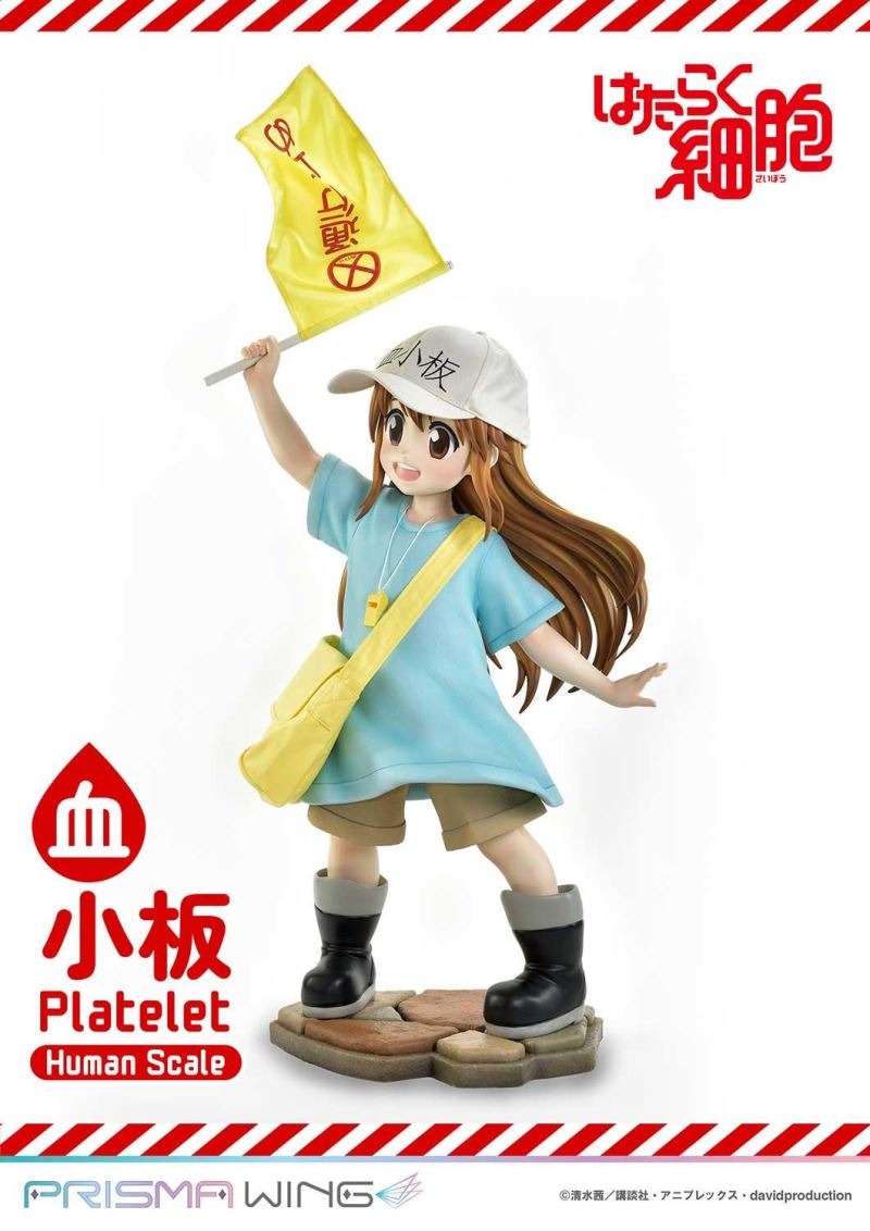 Cells at Work! Platelets 1/1