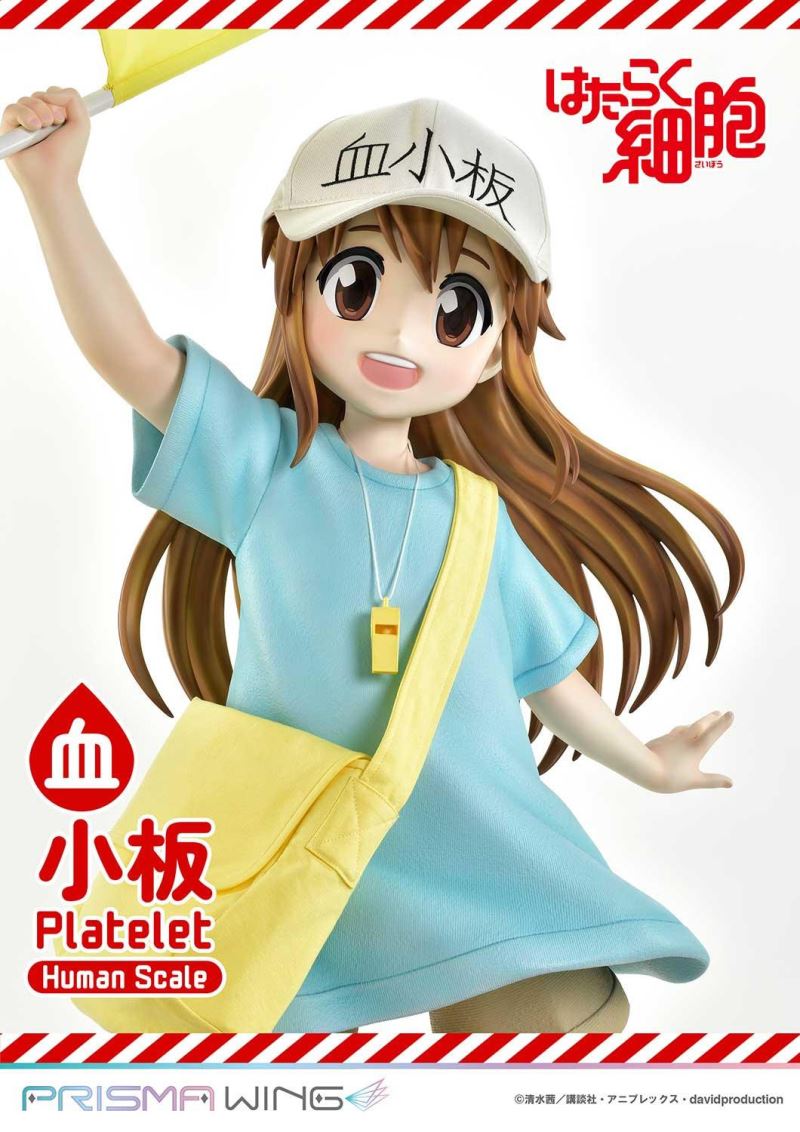 Cells at Work! Platelets 1/1