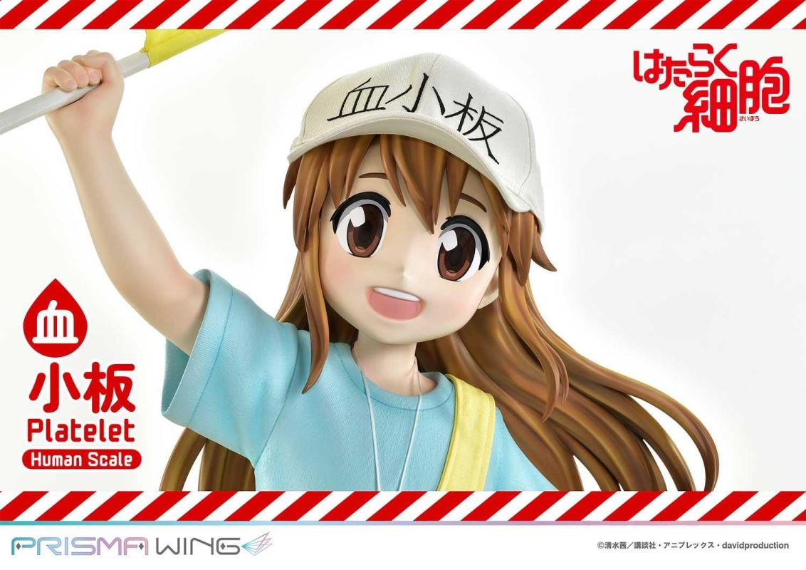 Cells at Work! Platelets 1/1