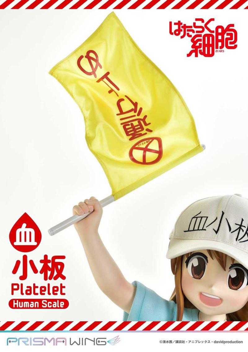 Cells at Work! Platelets 1/1