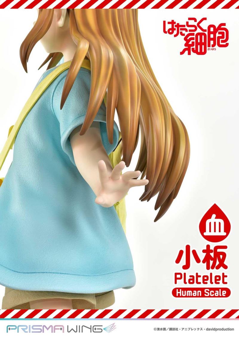 Cells at Work! Platelets 1/1