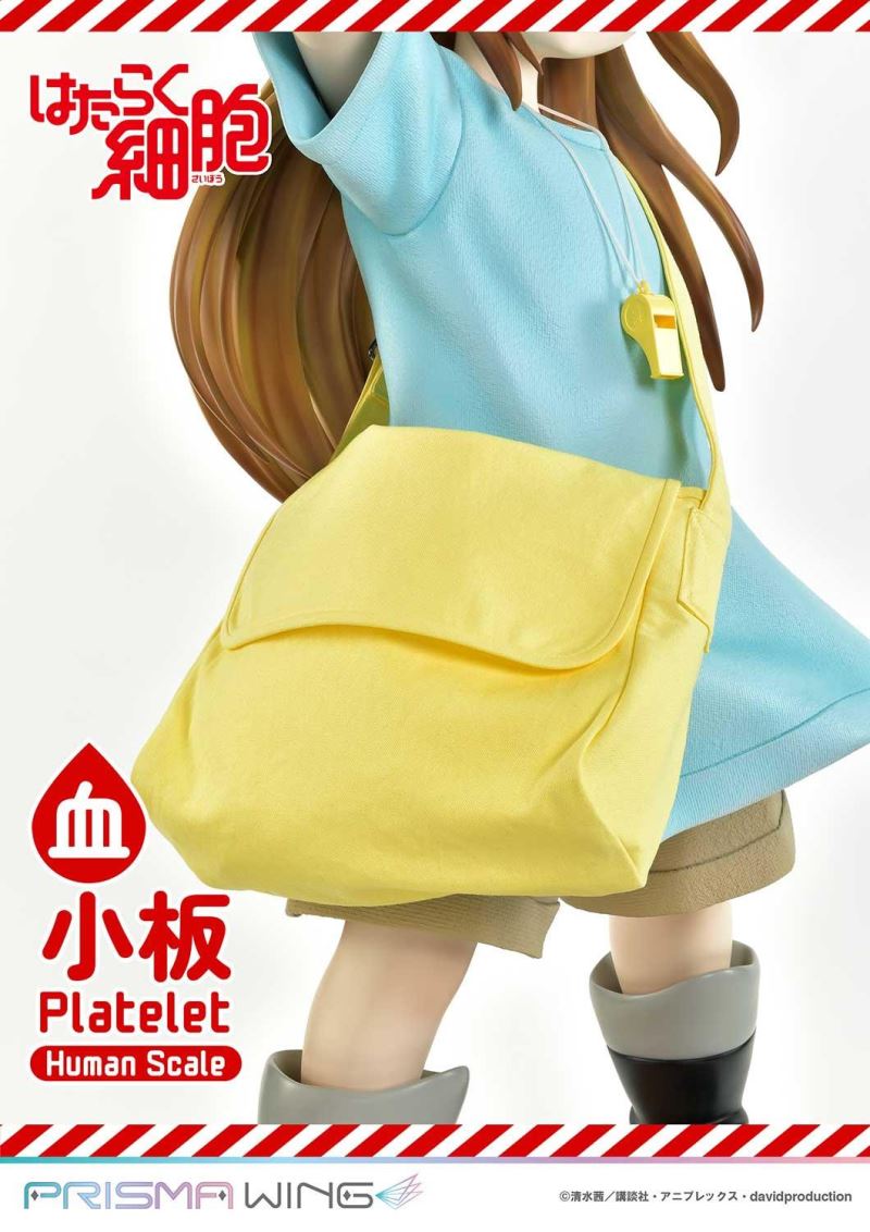 Cells at Work! Platelets 1/1