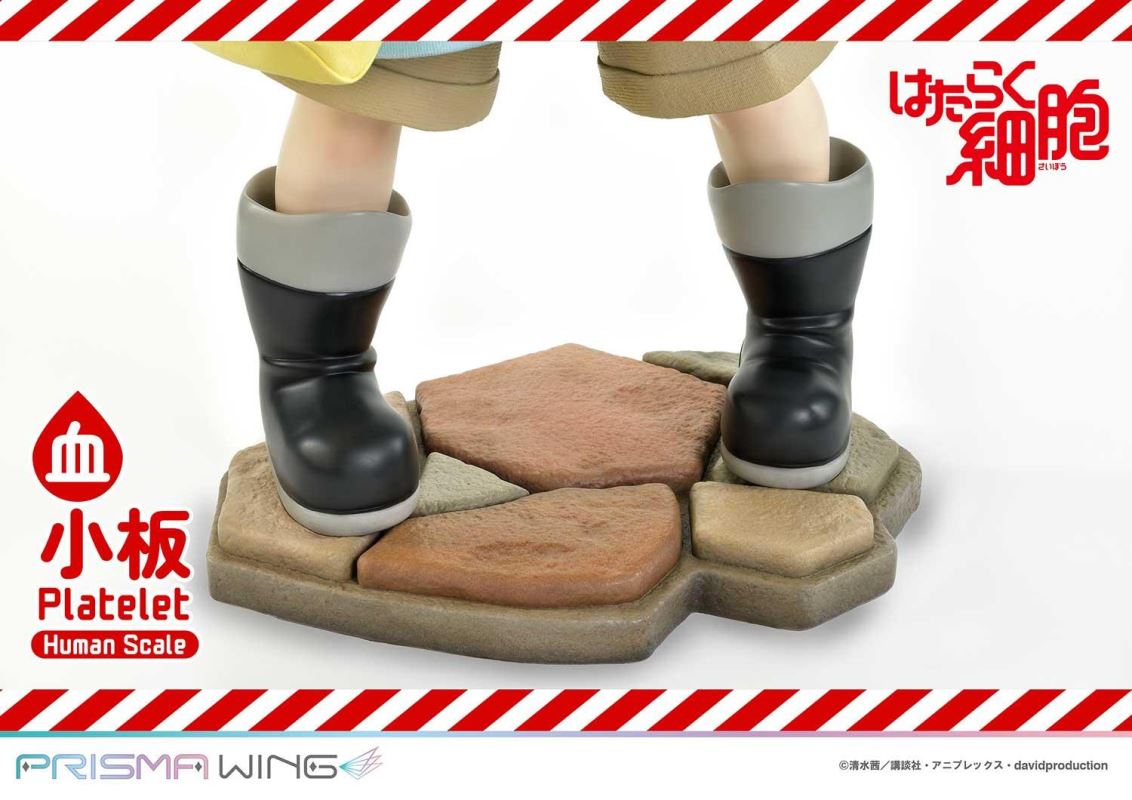 Cells at Work! Platelets 1/1