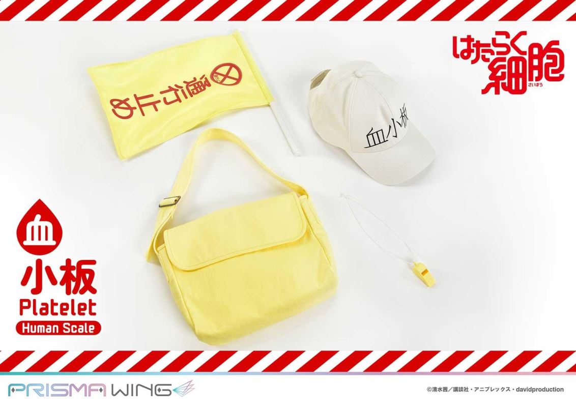 Cells at Work! Platelets 1/1