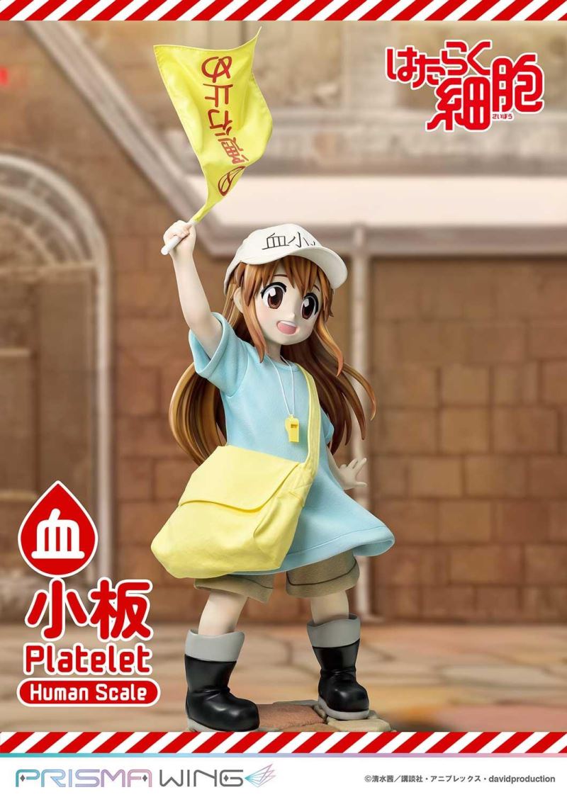 Cells at Work! Platelets 1/1