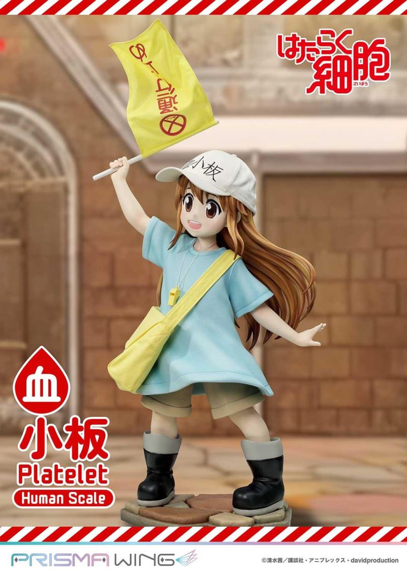 Cells at Work! Platelets 1/1