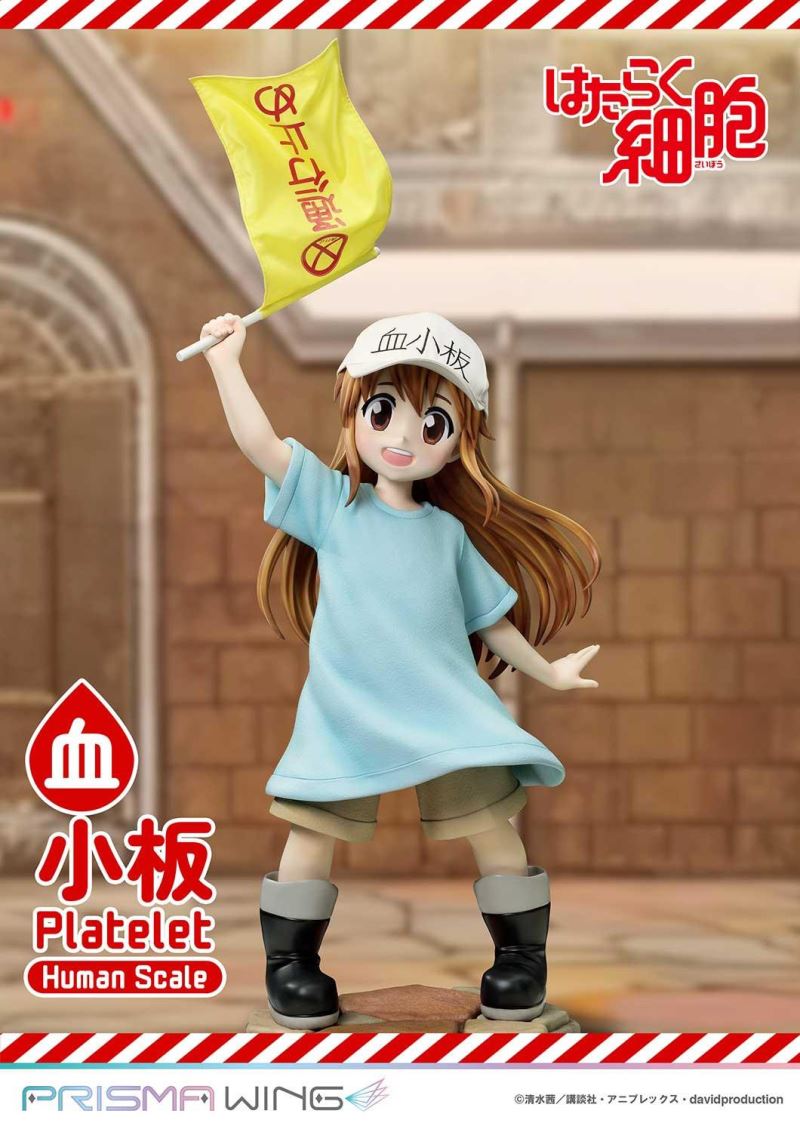Cells at Work! Platelets 1/1