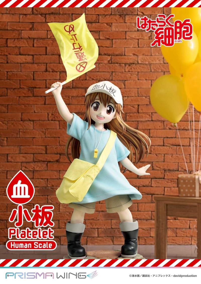 Cells at Work! Platelets 1/1