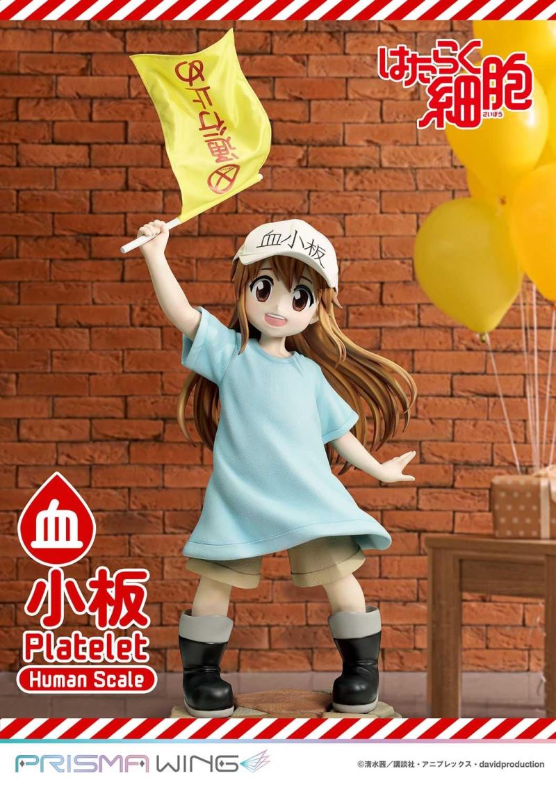 Cells at Work! Platelets 1/1