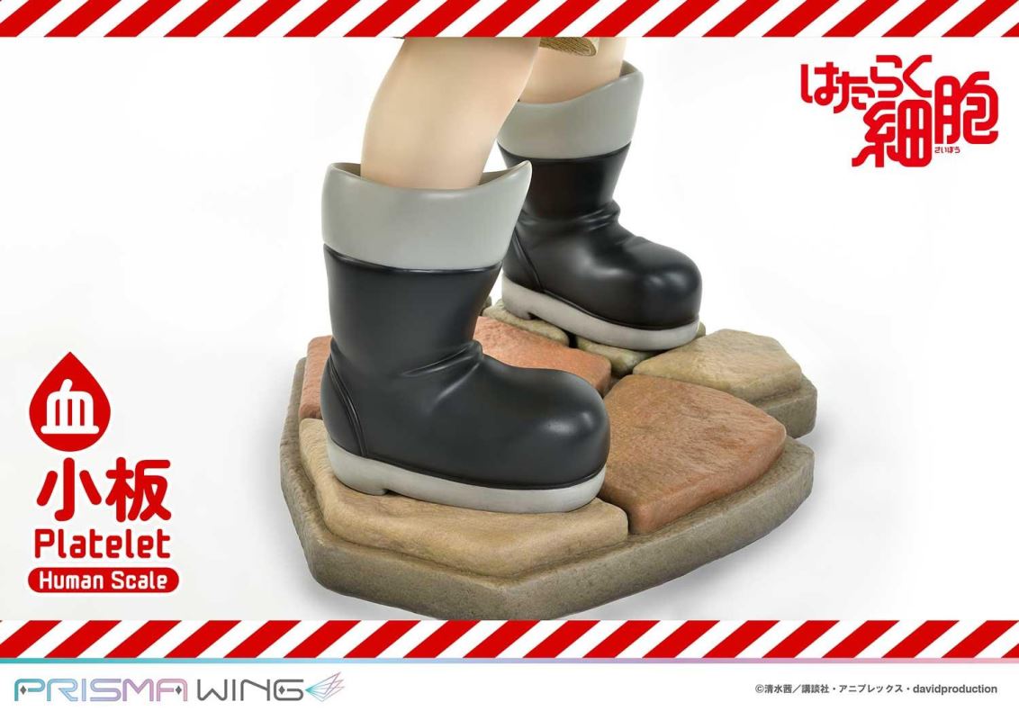 Cells at Work! Platelets 1/1