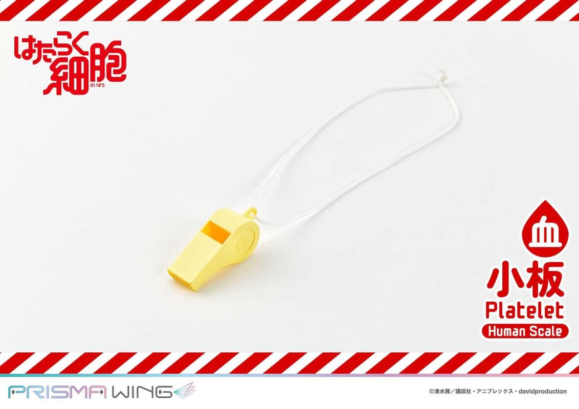 Cells at Work! Platelets 1/1