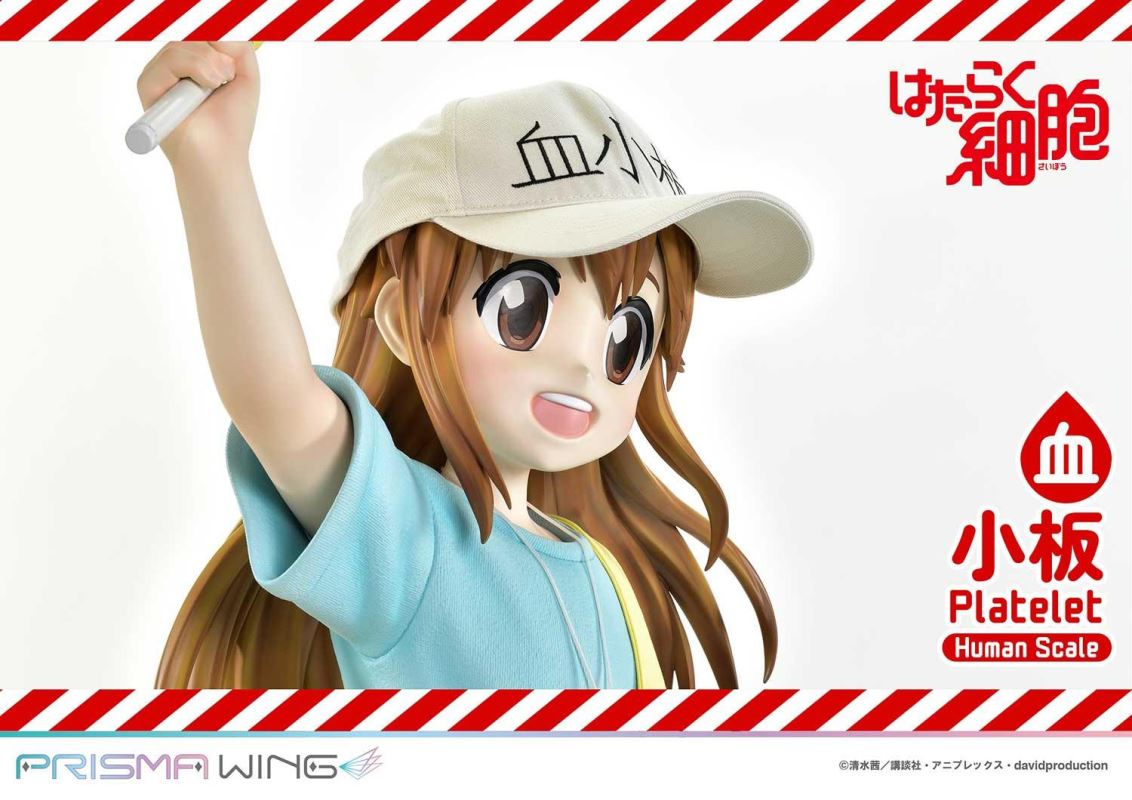 Cells at Work! Platelets 1/1