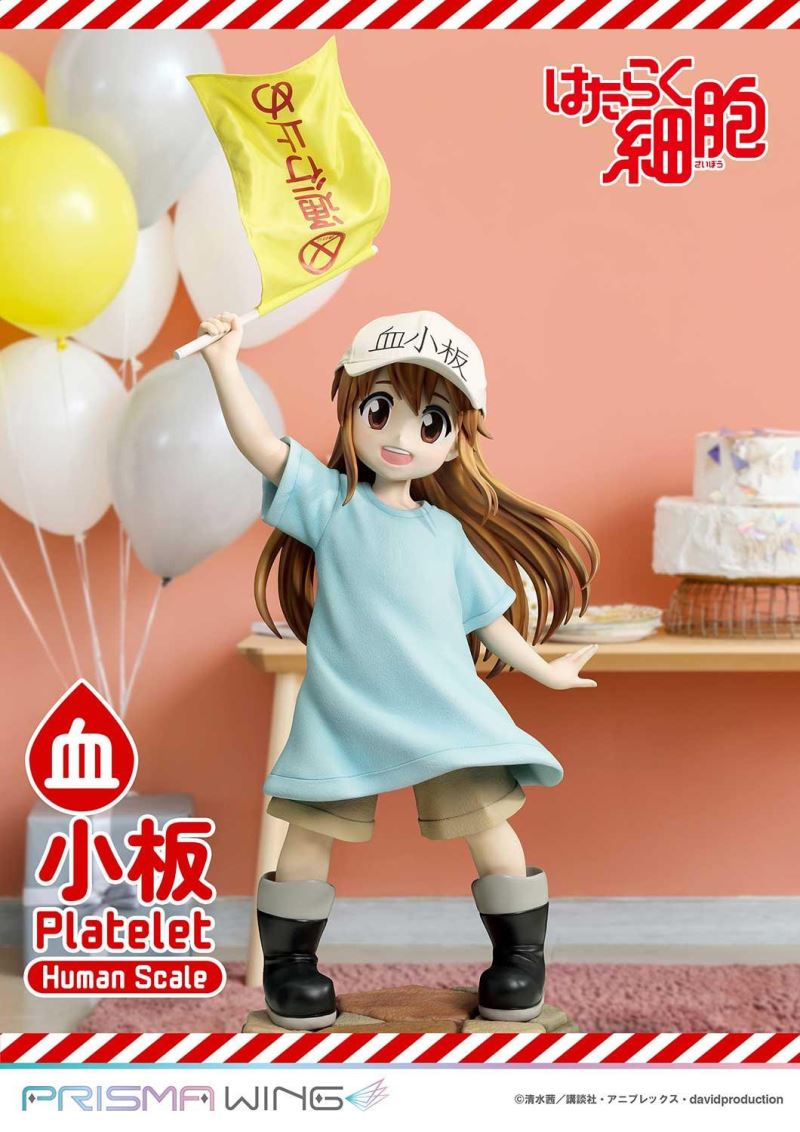 Cells at Work! Platelets 1/1