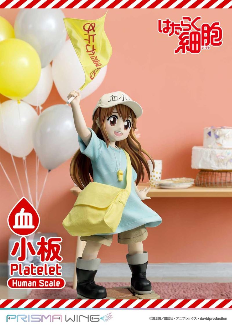 Cells at Work! Platelets 1/1