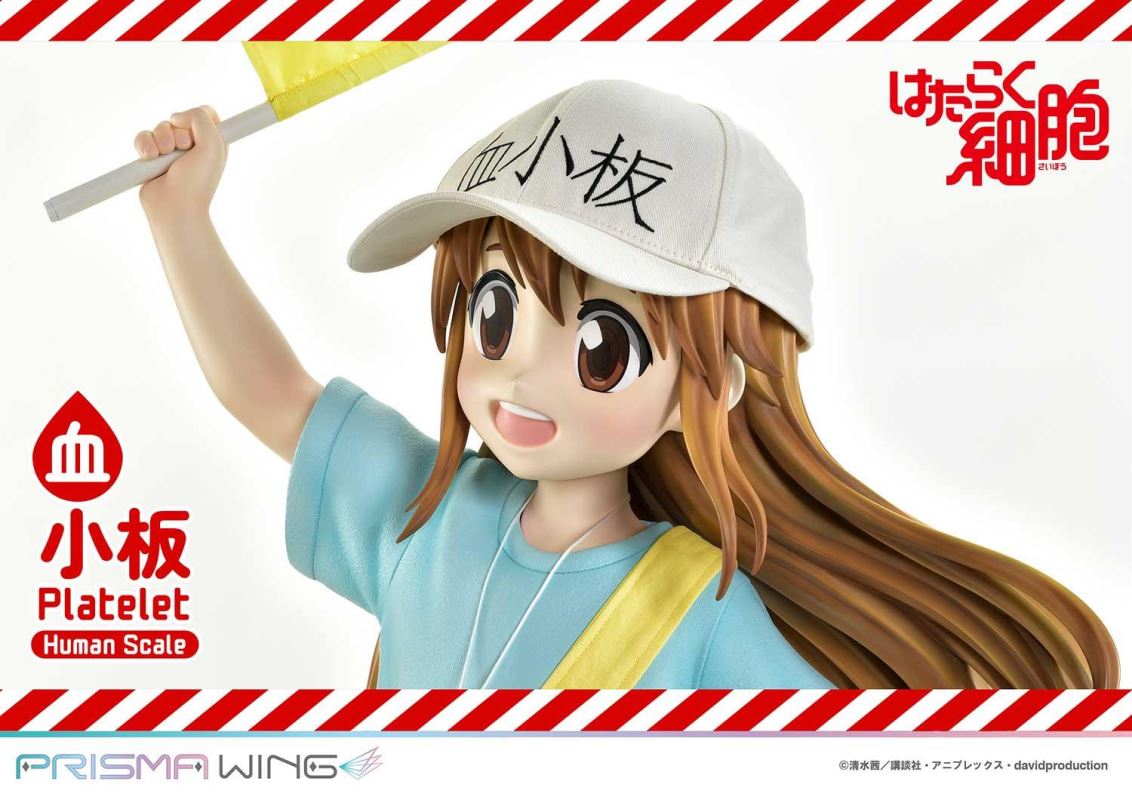 Cells at Work! Platelets 1/1