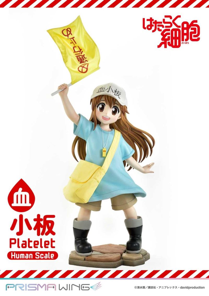 Cells at Work! Platelets 1/1