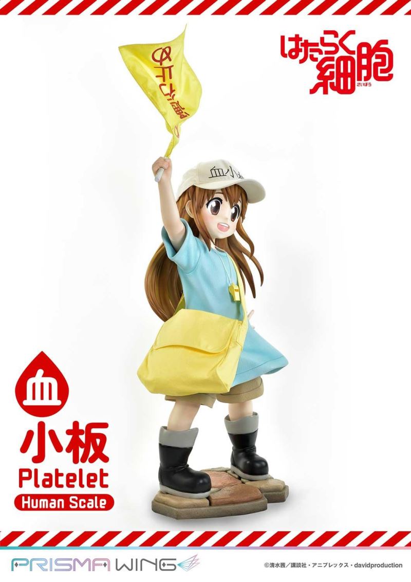 Cells at Work! Platelets 1/1