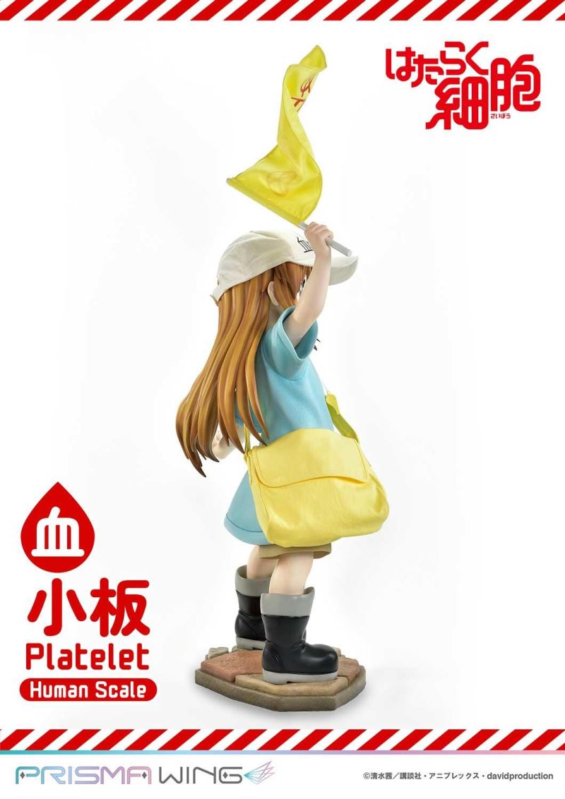 Cells at Work! Platelets 1/1