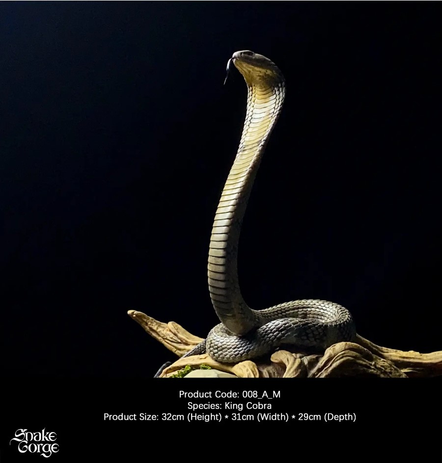 King Cobra
