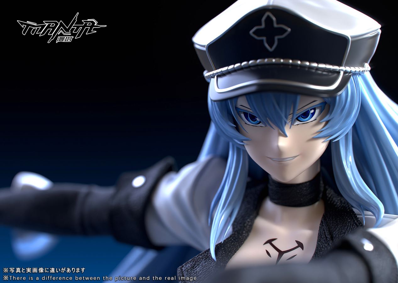 Esdeath - Akame Ga Kill! 1/6