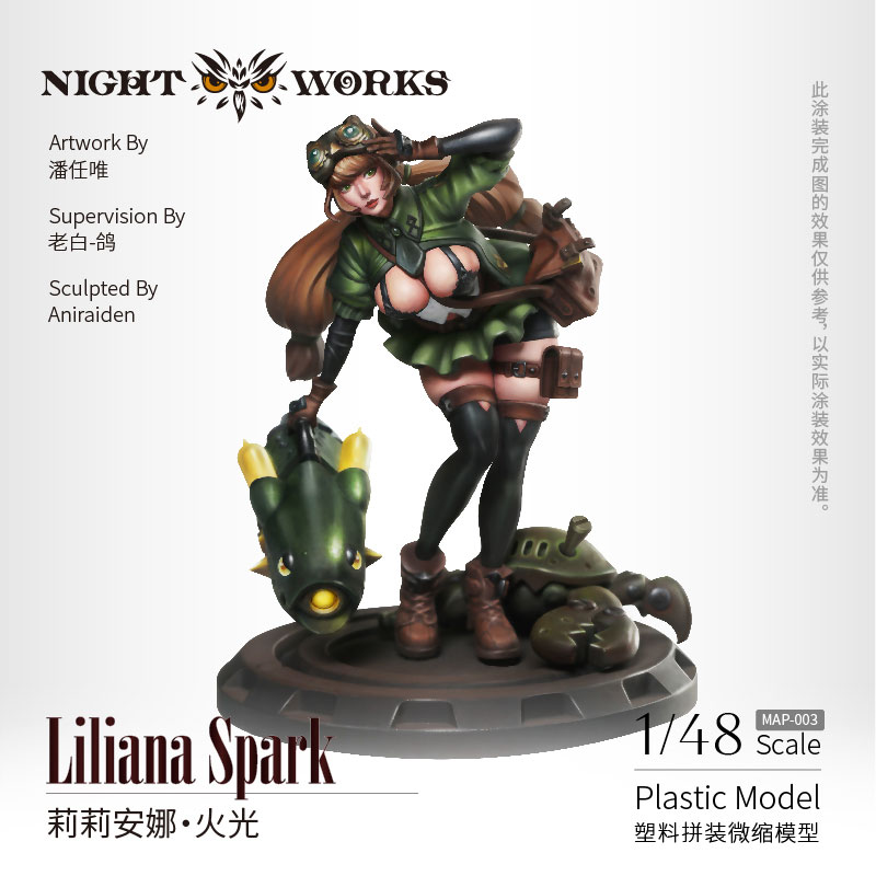 Liliana Spark 1/48 Unpainted Miniature Plastic Model Kit