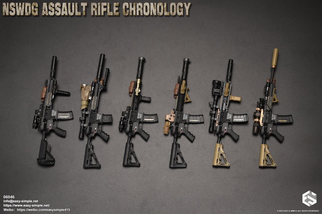 NSWDG Assault Rifle Chronology