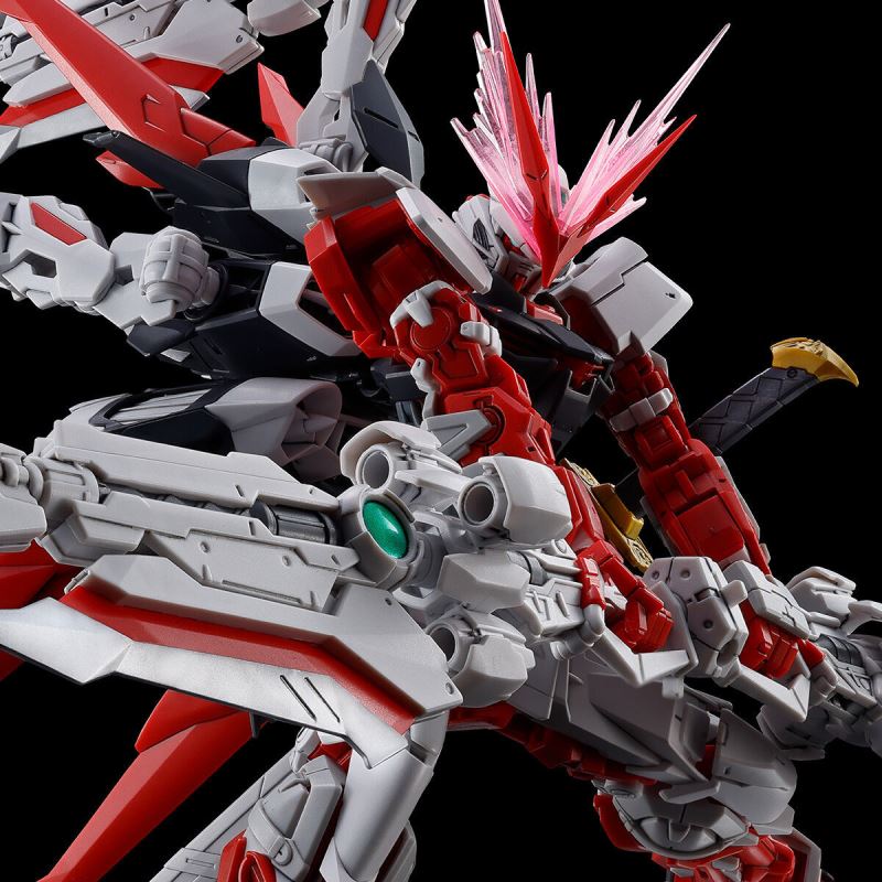 RG 1/144 Gundam Astray Red Dragon