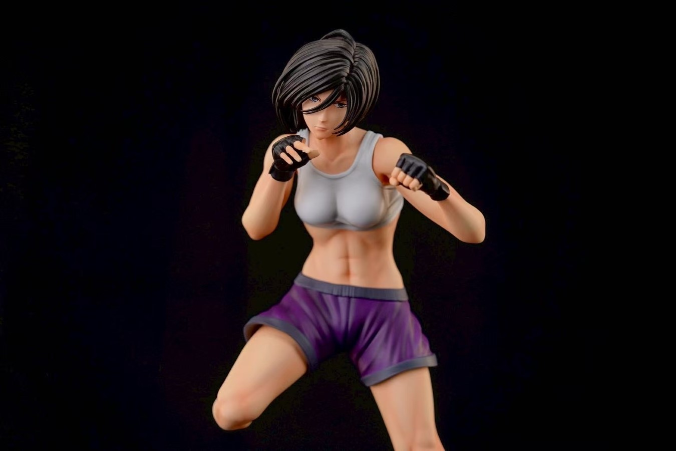 Mikasa the Fist Fighter - Attack on Titan