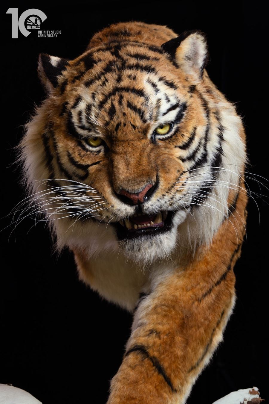 Original 1/1 Museum-grade replica of Siberian tiger