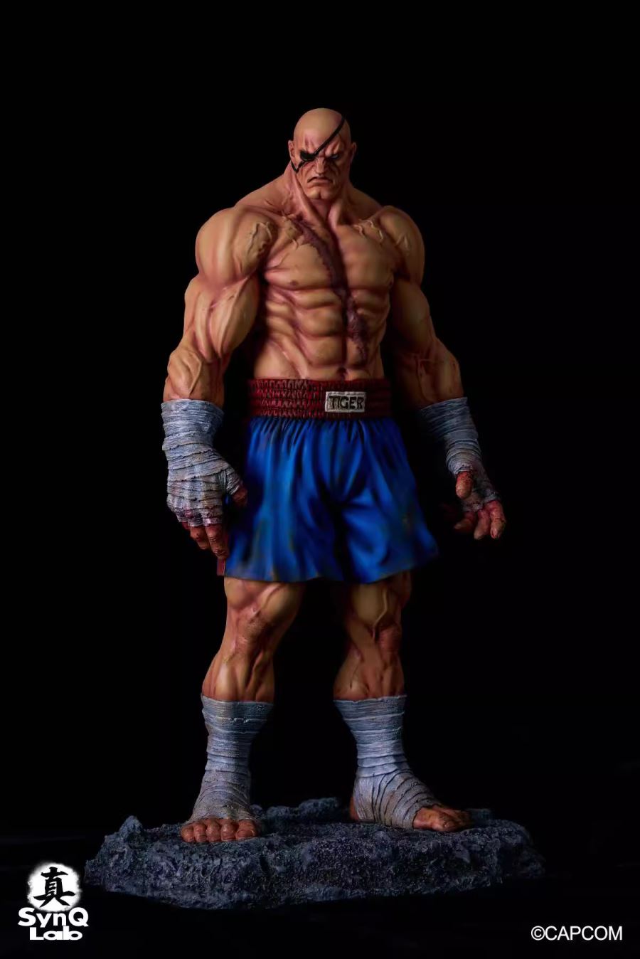 Viktor Sagat - Street Fighter
