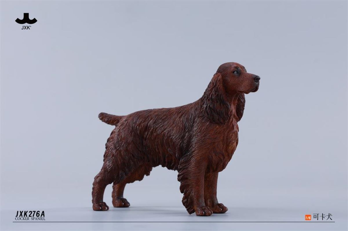 Cocker Spaniel 1/6