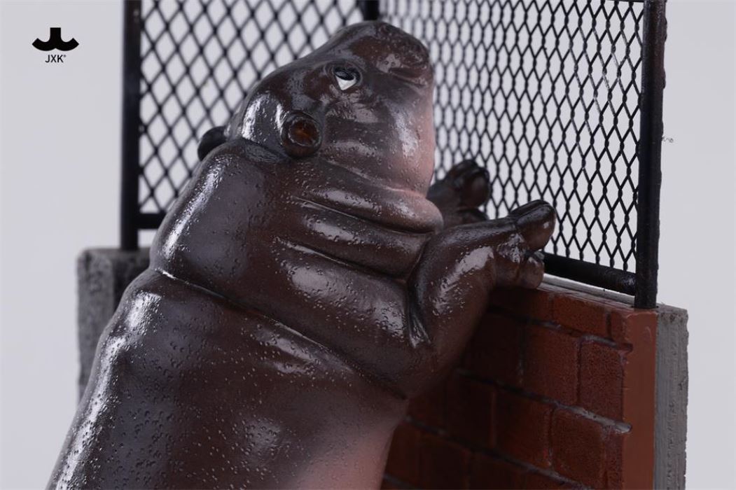 Baby Hippo by the Wall: MooDeng