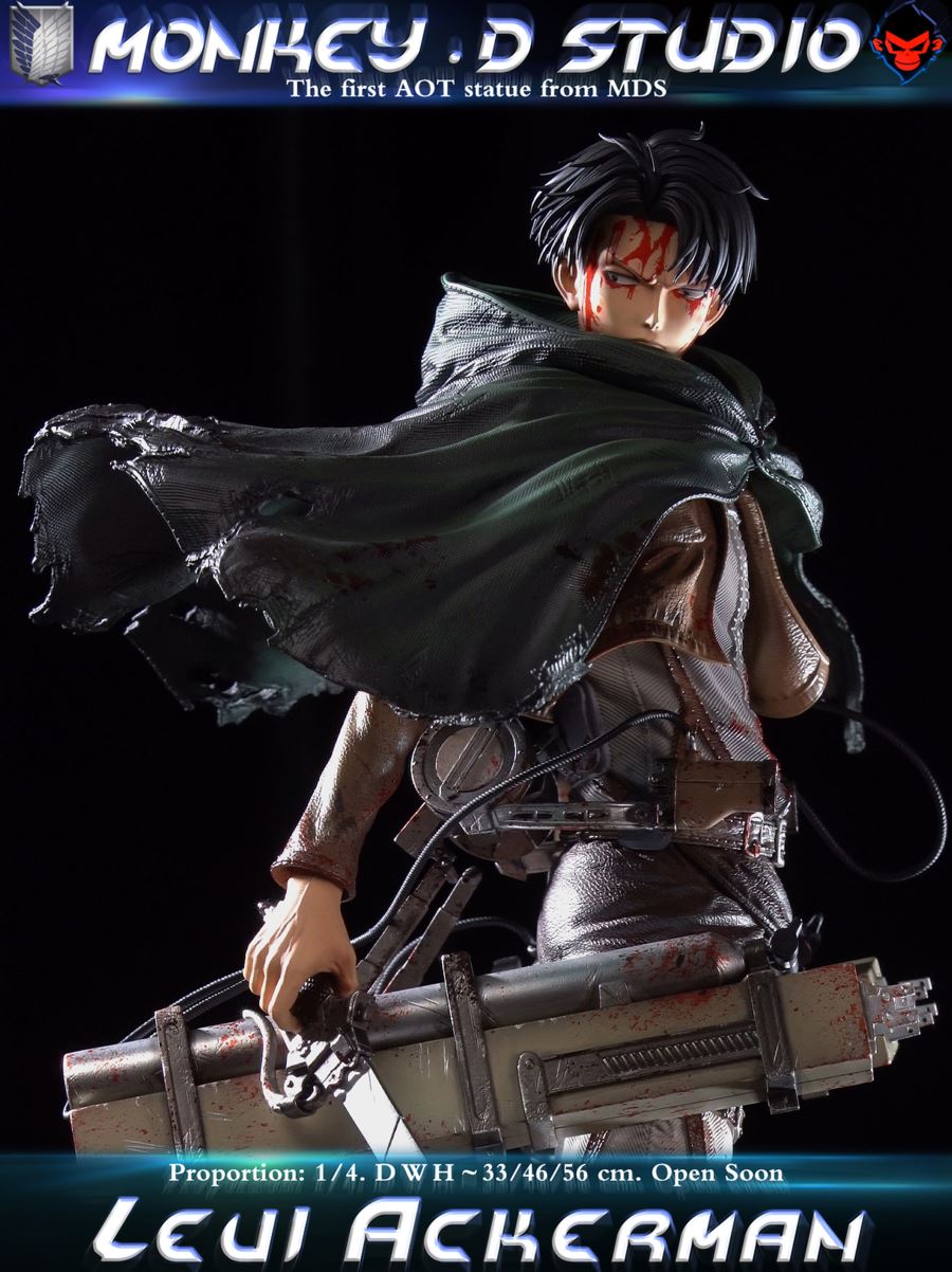 Levi Ackerman - Attack on Titan 1/4