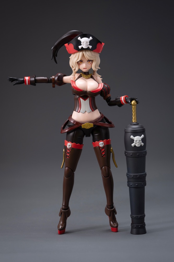 Pirate Captain Queen Anne