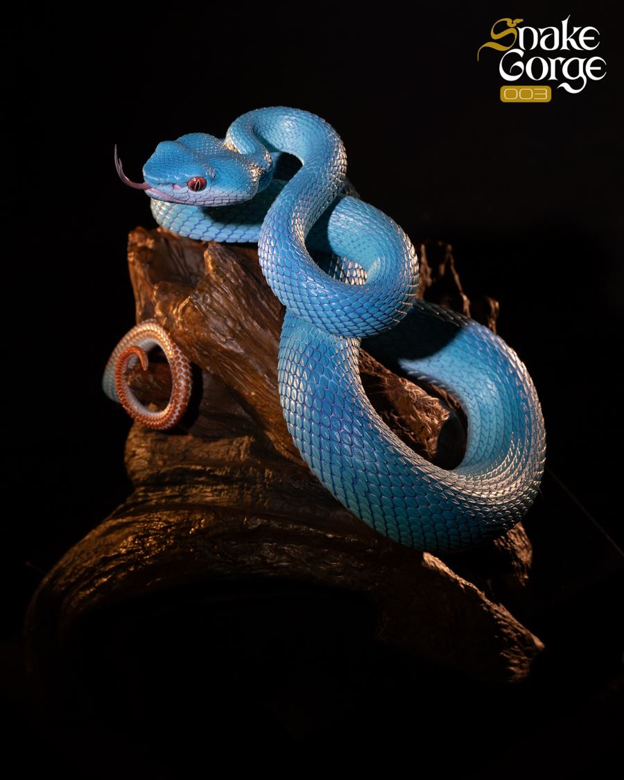 Animal museum Indonesian pit viper