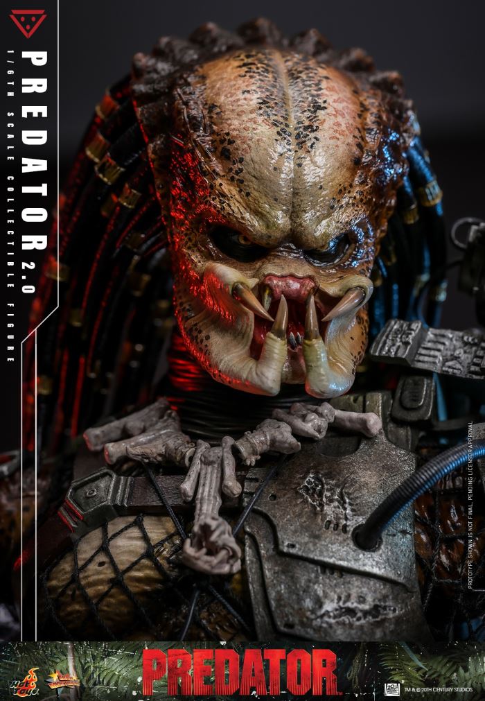 Predator 1/6