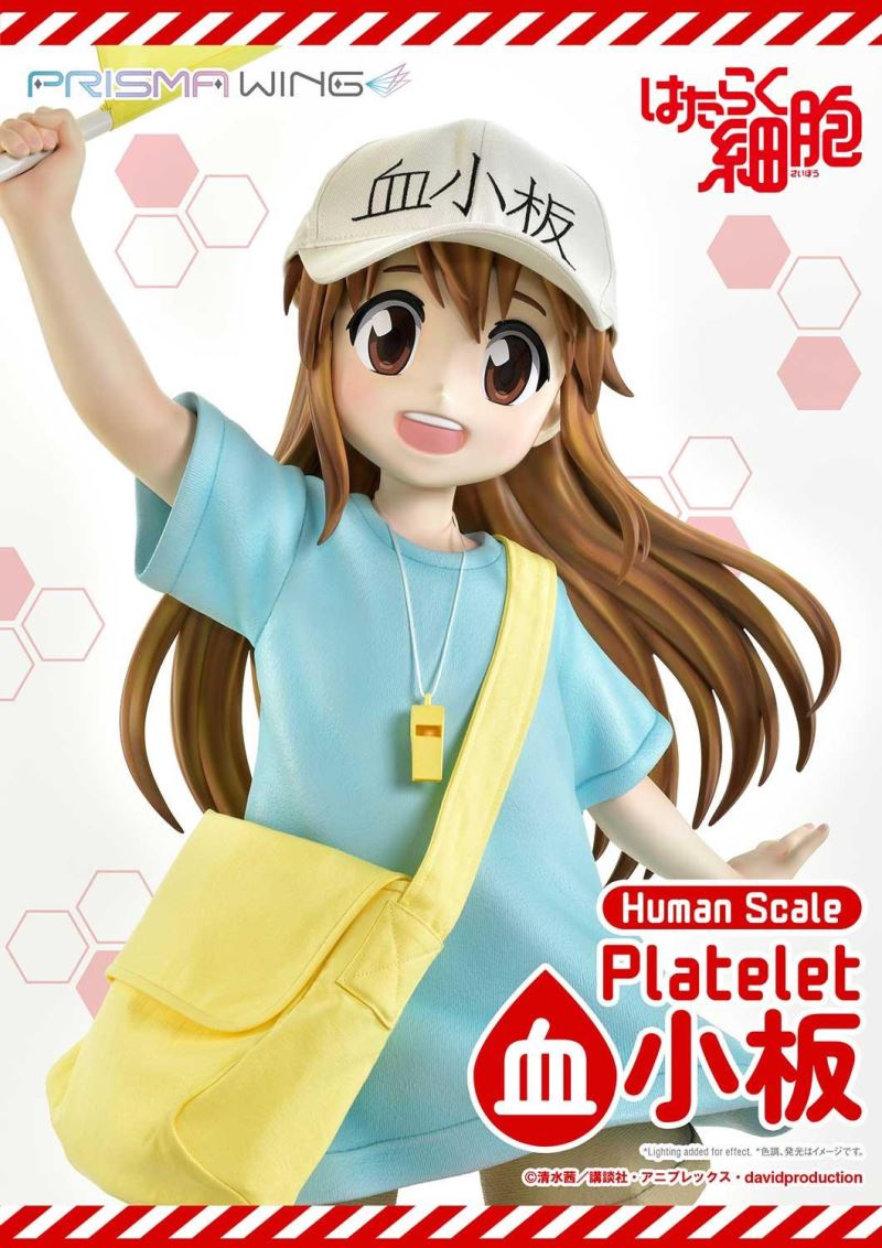 Cells at Work! Platelets 1/1